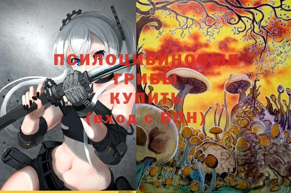 ECSTASY Балабаново