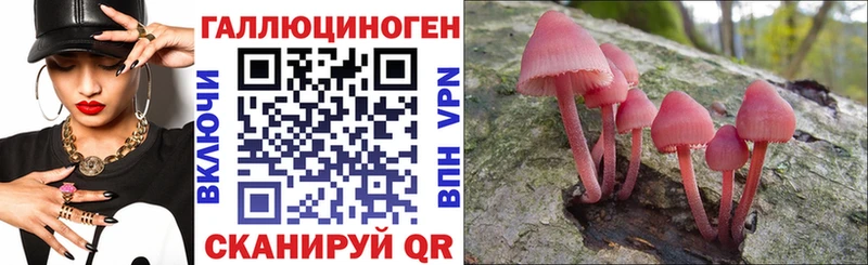 Псилоцибиновые грибы мухоморы  Белокуриха 